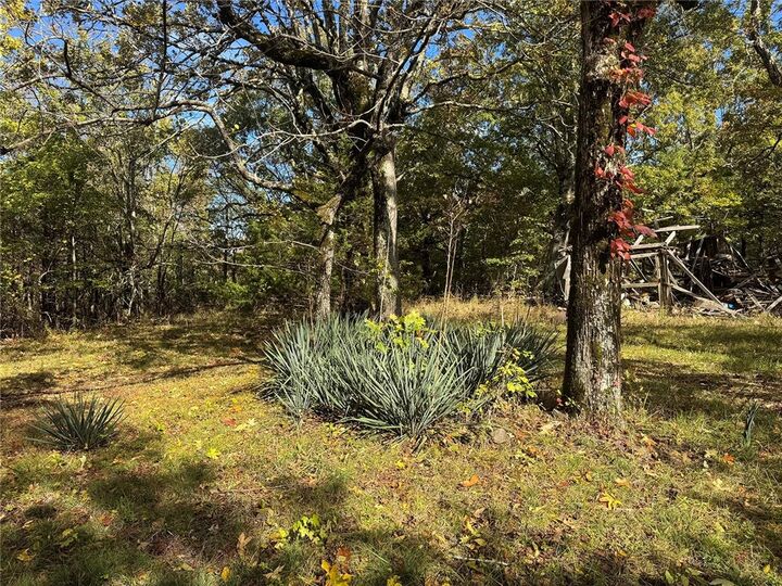 Property Photo:  Tbd 2 Ac Ar 7 South  AR 72856 