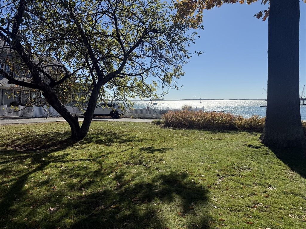 Property Photo:  220 Woodside Ave 1  MA 02152 