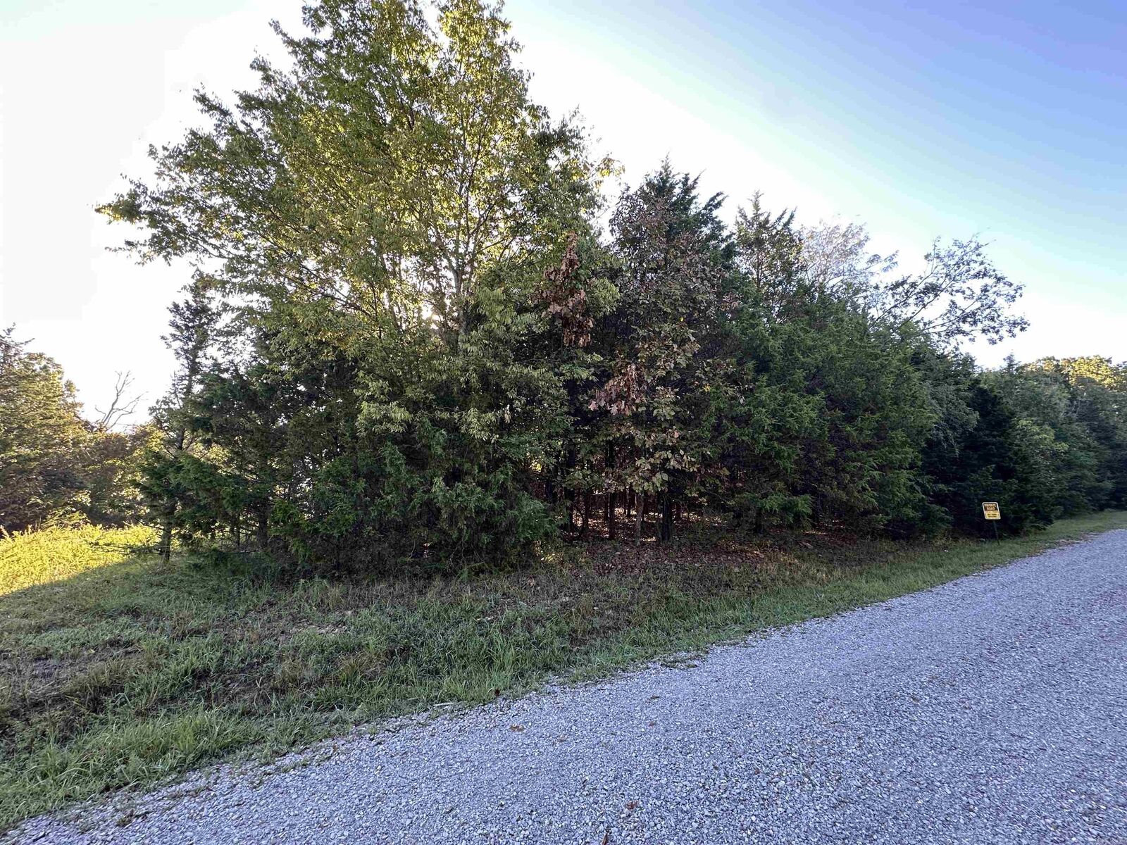 Property Photo: 001 Hand Cove Road AR 72531