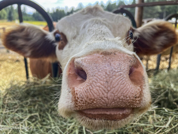 Property Photo: 11897 W Hidden Valley Rd ID 83858