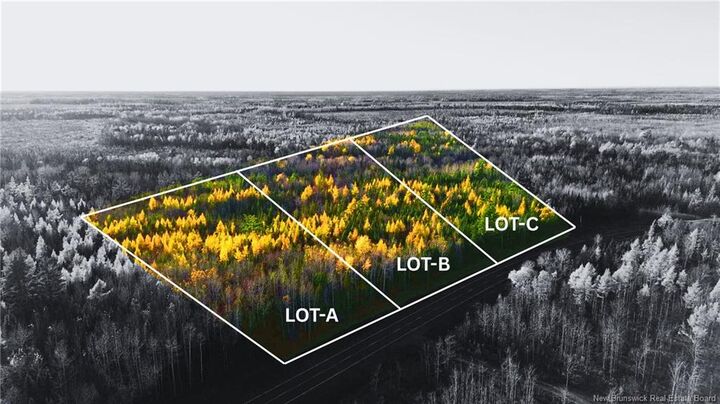 Lot A Route 126 — photo 1