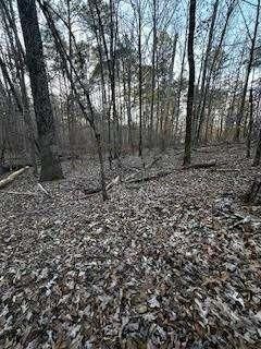 Property Photo:  00 River Ridge Trail  GA 31087 