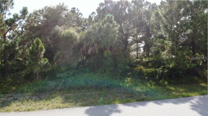 Property Photo:  Lot 21 Bathfeld Road  FL 34291 
