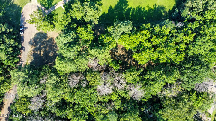 0 Lakeridge Cove  Clinton MS 39056 photo