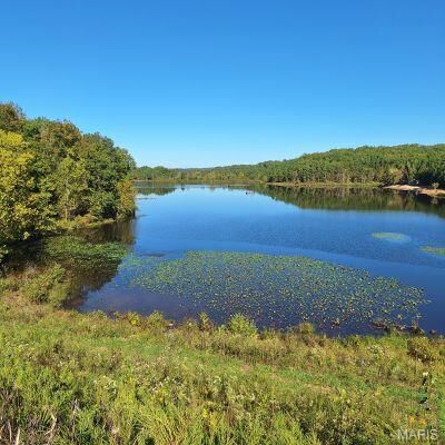 Property Photo: 4 Turkey Creek MO 63951