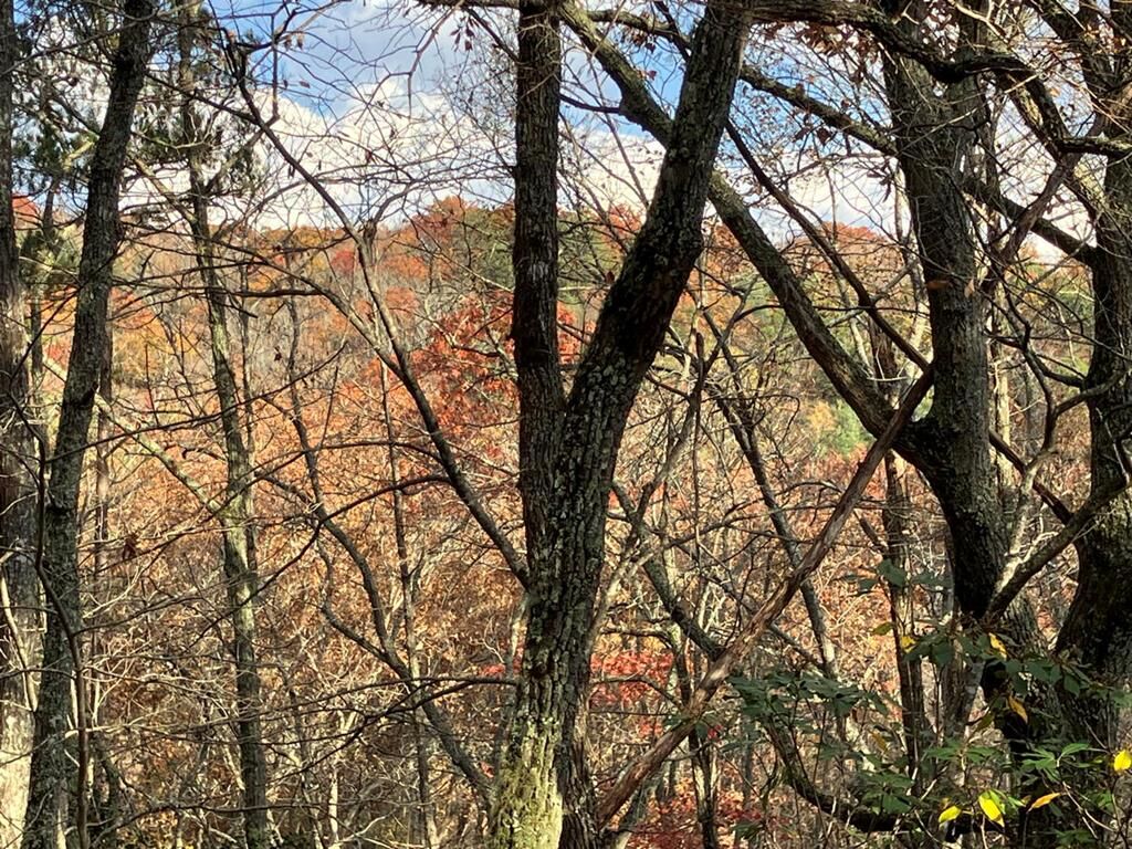 Property Photo:  Lt24 Mission Ridge Court  NC 28904 