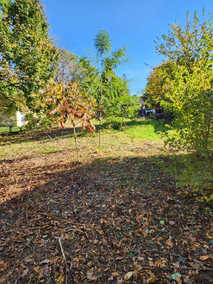 Property Photo: 3718 Lyndale Avenue N MN 55412