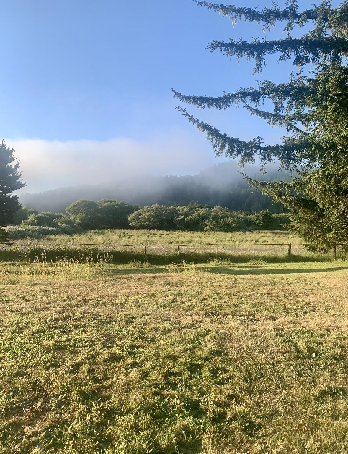 Property Photo:  34944 Ophir Road  OR 97444 