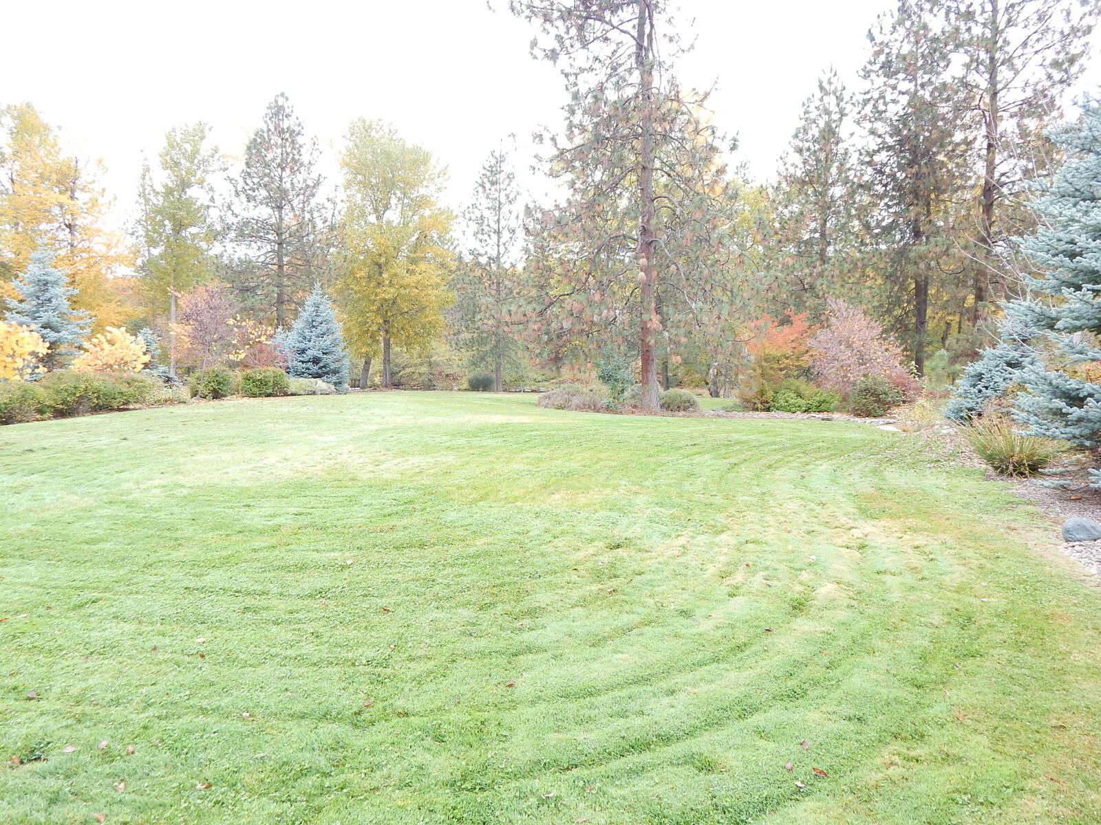 Property Photo: 330 Penny Lane OR 97539