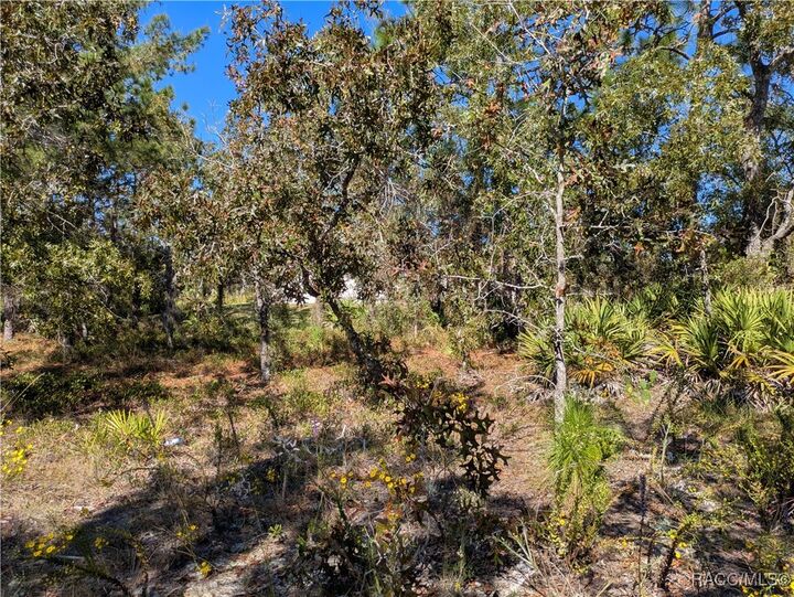 Property Photo: 5 Dahlia Court N FL 34446