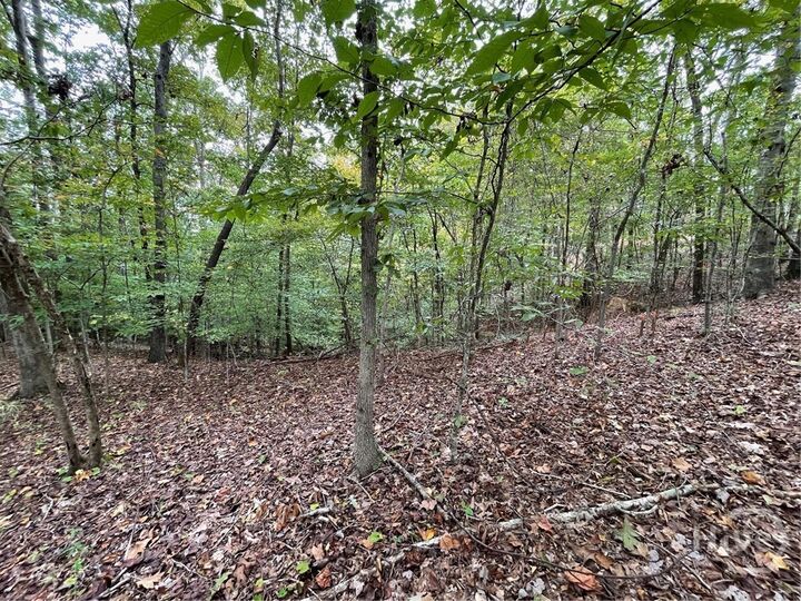 Property Photo: Lot 296 Oconee Avenue SC 29693