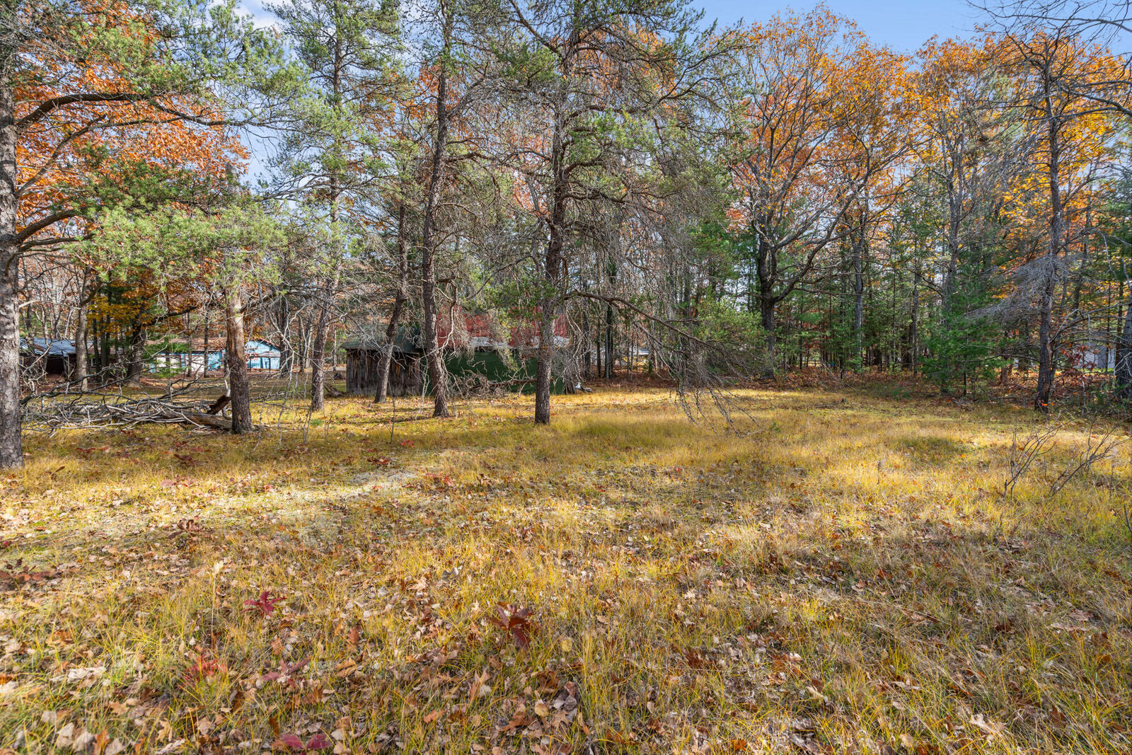 Property Photo: 4565&Amp4583 Forest Trail MI 49749