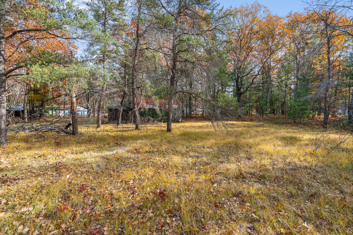 4565 Forest Trail  Indian River MI 49749 photo