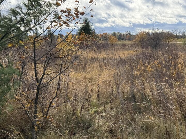 Property Photo: V/L 1.26a Townline Road MI 49721