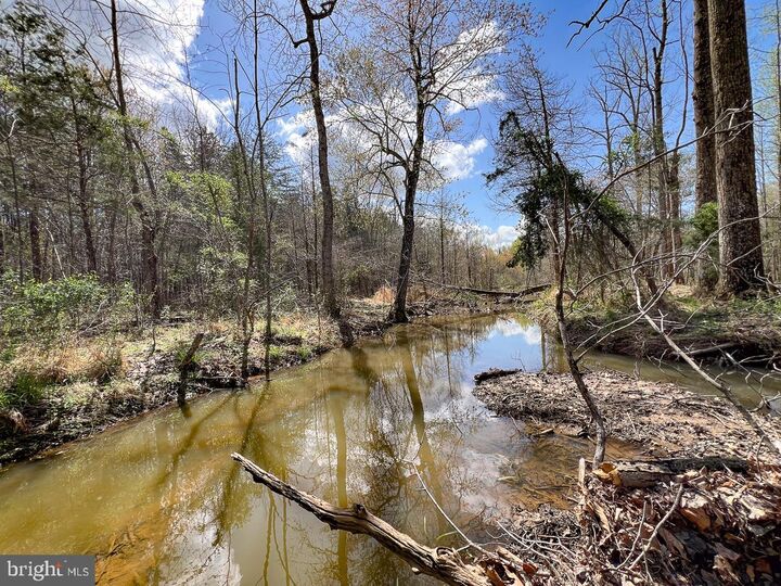 Property Photo: 0 Gilliam Mill Road VA 23936