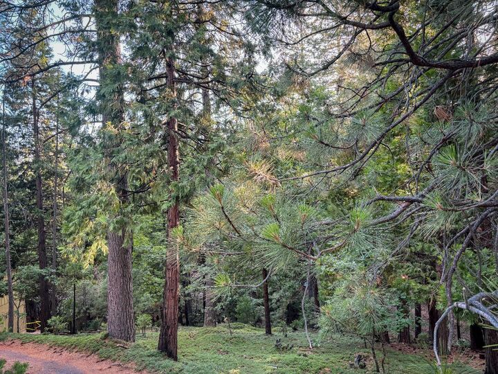 Property Photo: 1800 Kit Carson Circle CA 95223