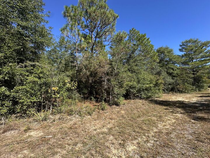 Property Photo: Parcel B Bear Head Road FL 32539