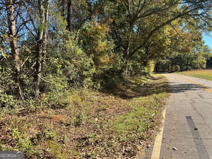 Property Photo: 0 Taylor Road Tract 2 GA 30648