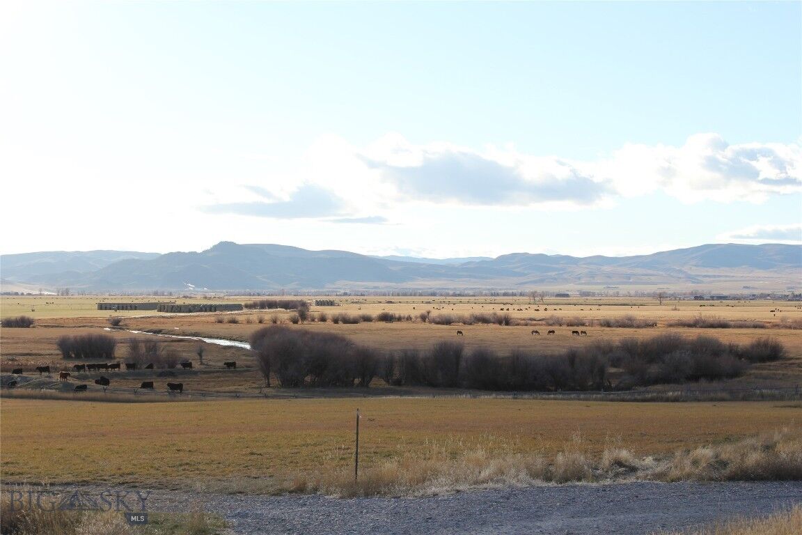 Property Photo: Tbd Blacktail Rd MT 59725
