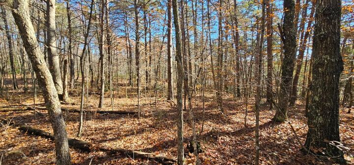 Property Photo:  0 Woods Rd  TN 37327 