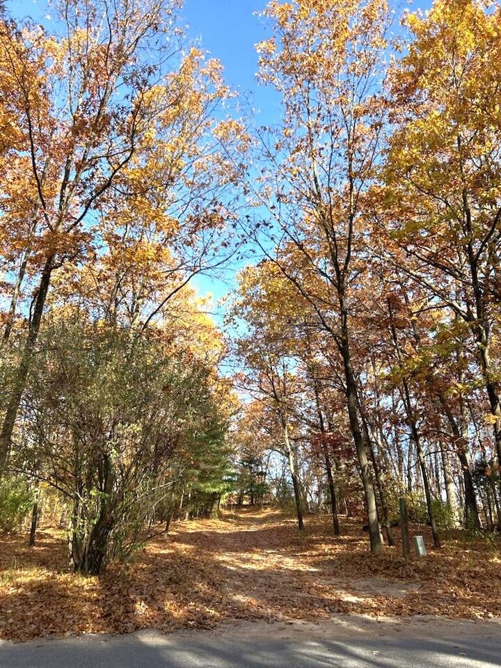 Property Photo: Vl Burroughs Street NE MI 49331