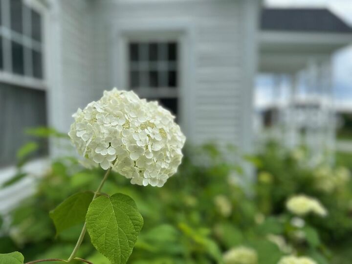 Property Photo: 38 Beach Road VT 05841