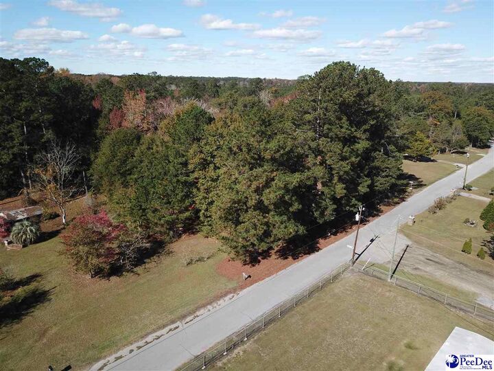 Property Photo:  3403 Chisolm Trail  SC 29505-9286 