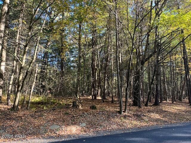 Property Photo:  Lot 36 Fox Road  PA 18328 