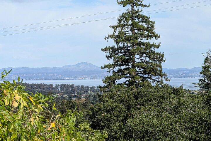 Property Photo: 442 El Arroyo Road CA 94010