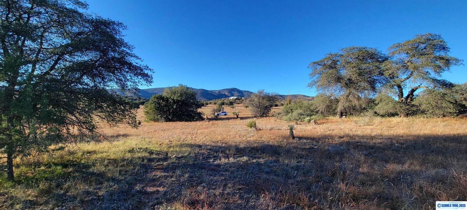 Property Photo: Lot 3A Cattlemans Trail NM 88061-0000