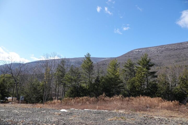 Property Photo:  Tbd Manorville  NY 12477 