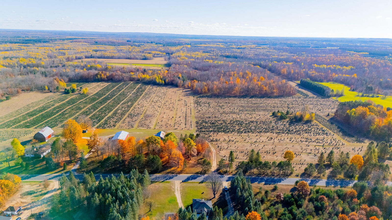 Property Photo: 2703 E Moorsetown Road MI 49651