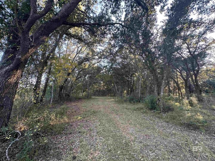 Property Photo: 0 Benton Road AL 36535