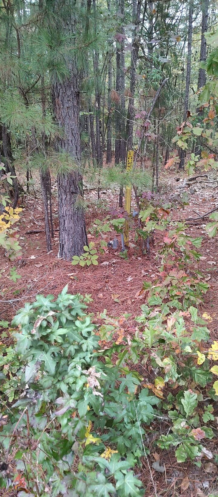 Property Photo: 2 Acres Hwy 79 N AR 71742