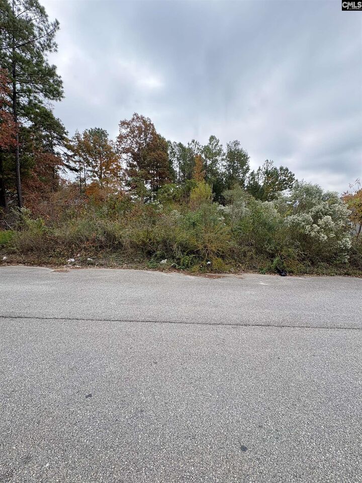 Property Photo:  204 Rockcreek  SC 29203 