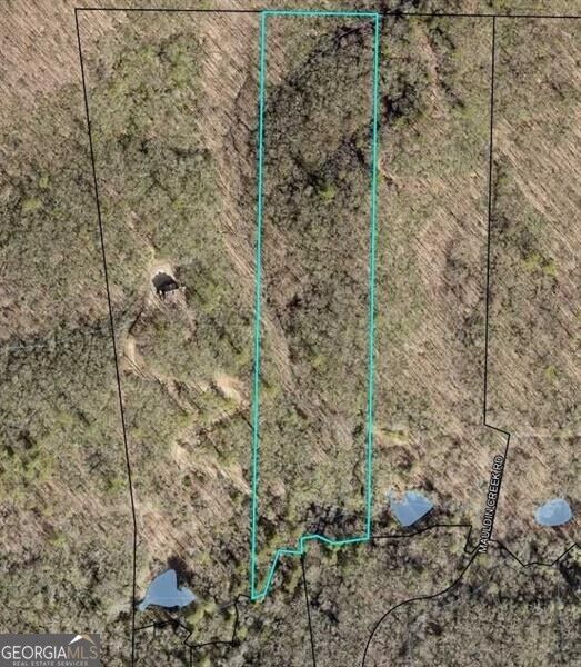 Property Photo:  9 65ac Wilkins Cove Road  GA 30572 