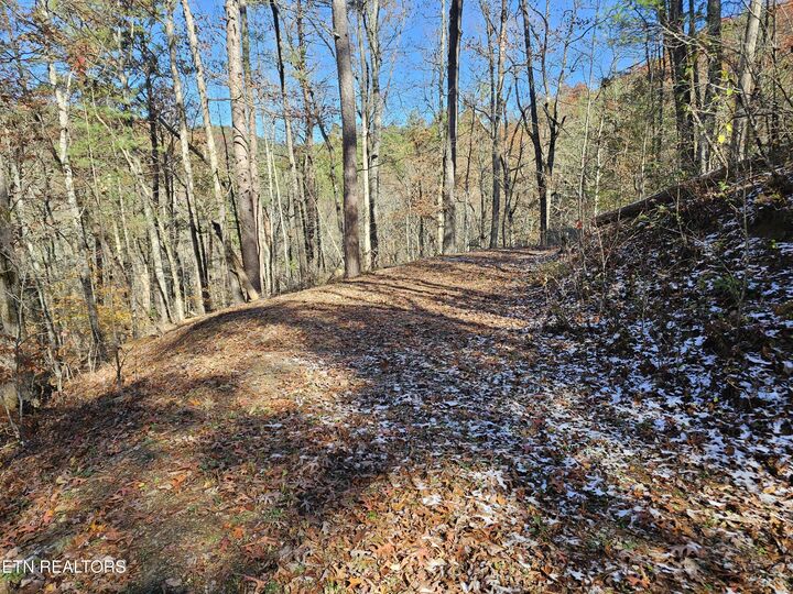 Property Photo:  231 Low Gap Tr  TN 37882 