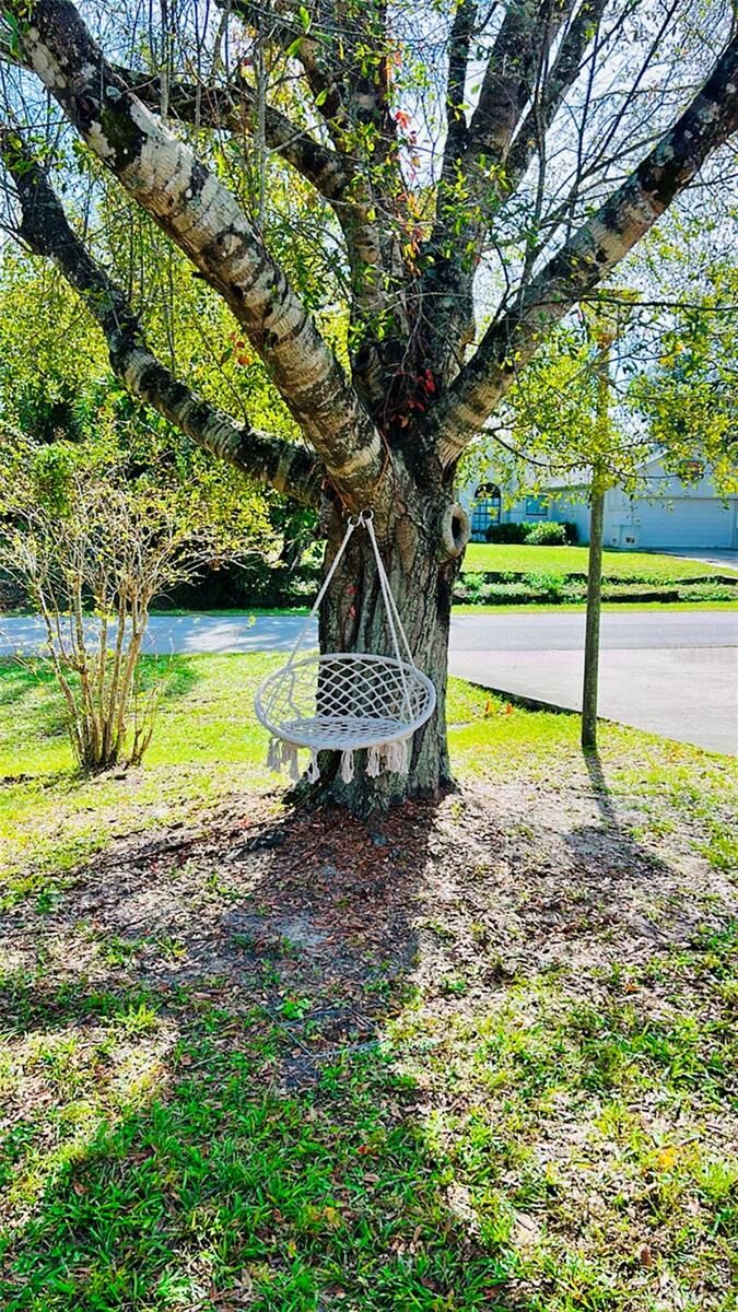 Property Photo:  3144 Boxelder Street  FL 32725 