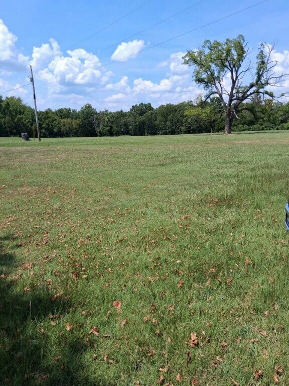 Property Photo: Walnut Street MO 65745