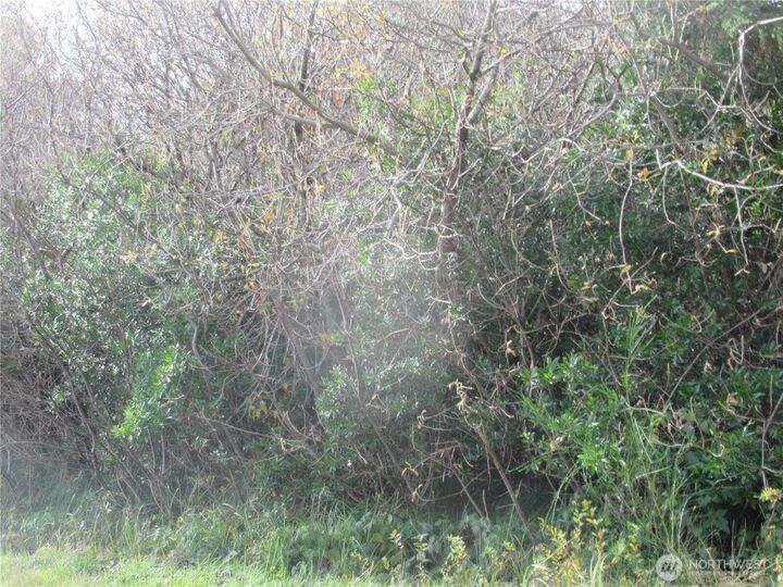 Property Photo: 16 Driftwood Drive WA 98569