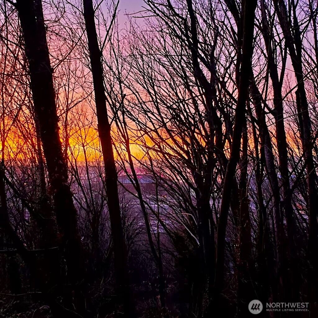 Property Photo:  1311  12th Avenue S C104  WA 98144 