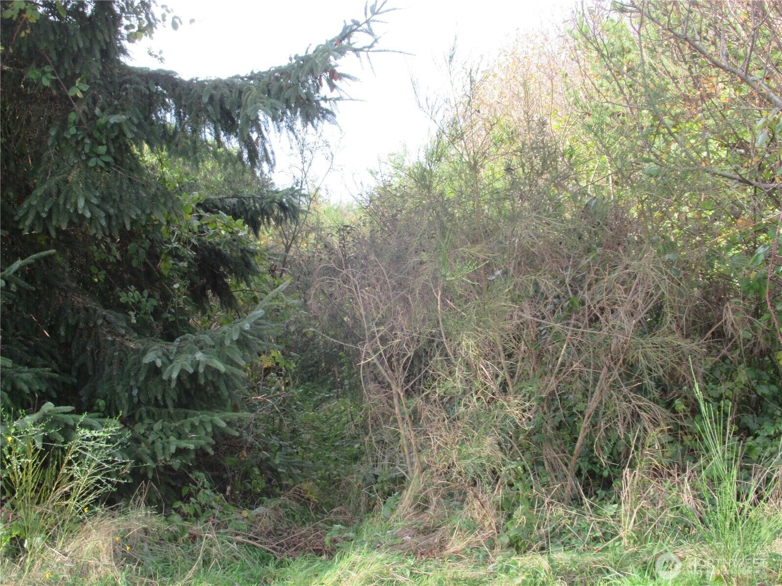 Property Photo: 4 Driftwood Drive WA 98569