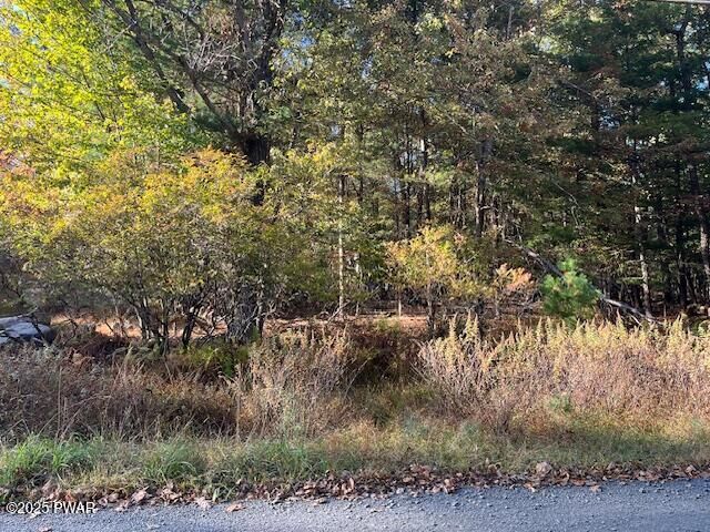 Property Photo: Lot 247 Squirrel Road PA 18328
