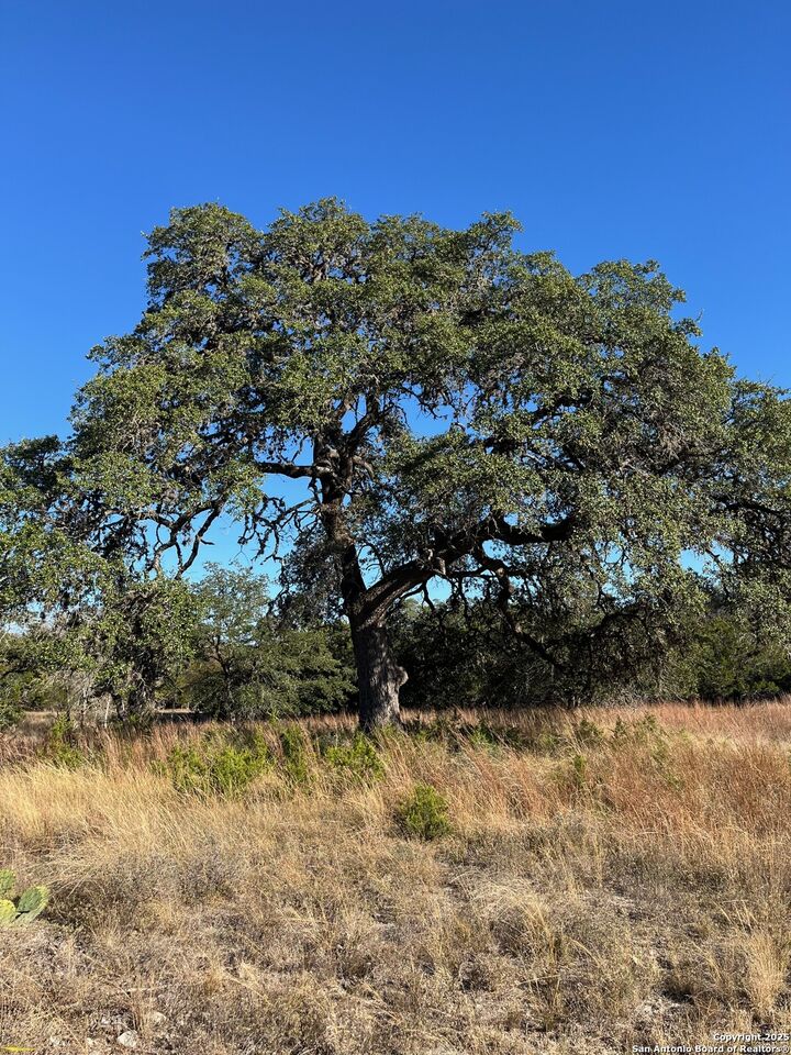 Property Photo:  Lot 2 Live Oak Ridge  TX 78003 