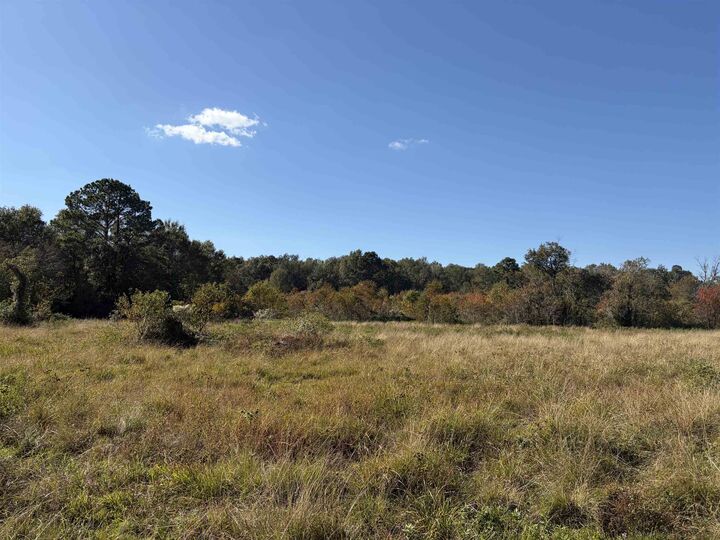 Property Photo:  27.68 Acres Hwy 62  TX 77632 