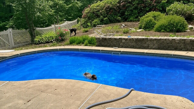 Property Photo:  35 Bradley Lane  CT 06482 