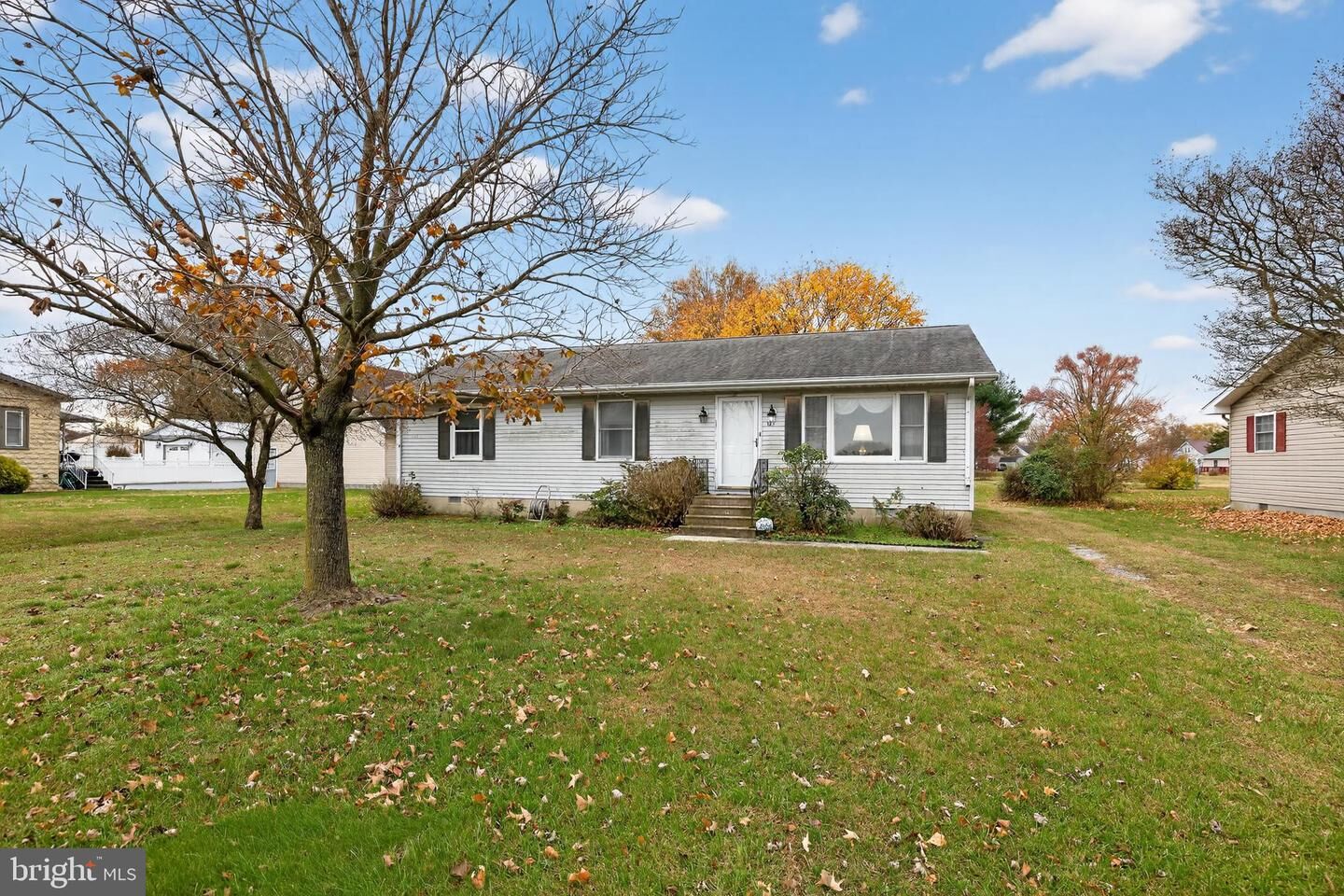 Property Photo:  125 E Liberty Street  DE 19952 