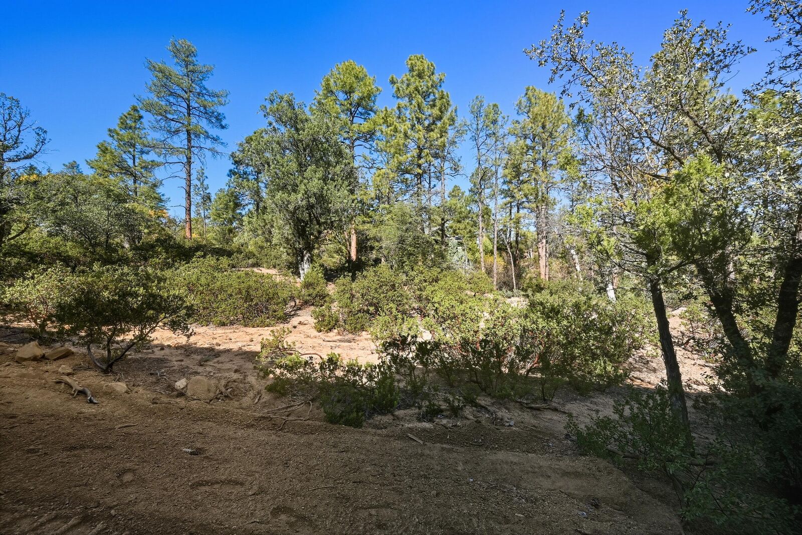 Property Photo: 3004 E Game Trail AZ 85541