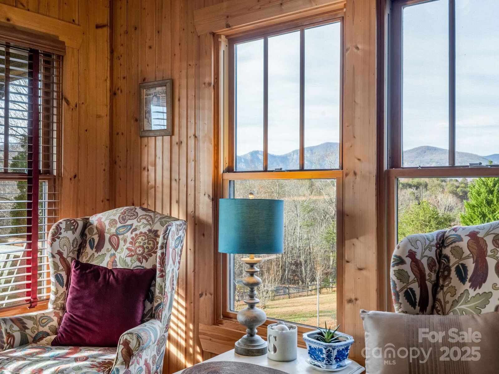 Property Photo:  301 Peaks Drive  NC 28746 