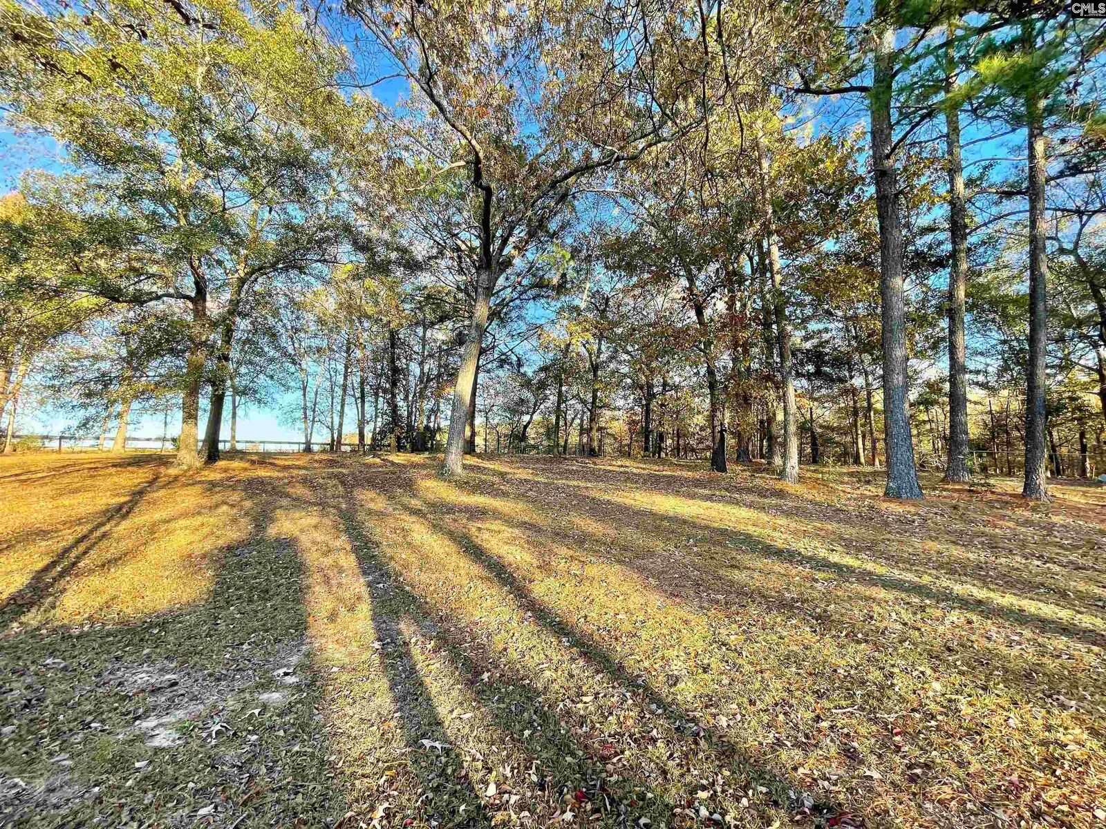 Property Photo:  606 Shadow Lane  SC 29164 